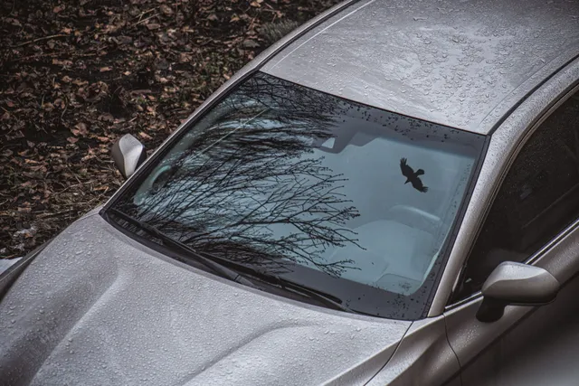 auto glass services Cleveland County